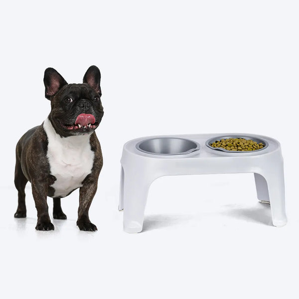Comedero Elevado para Perro Mediano Gris Hielo / Rimax