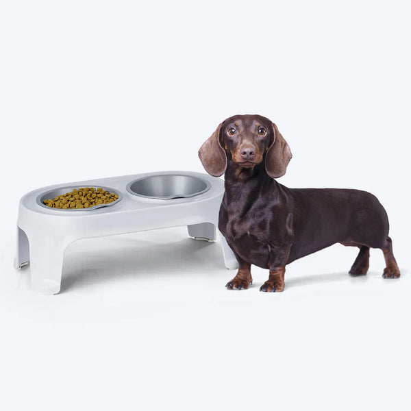 Comedero Elevado para Perro Pequeño Gris Hielo / Rimax
