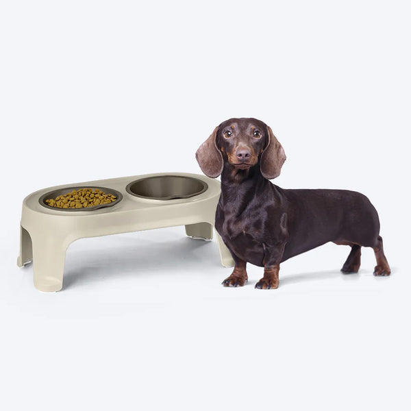 Comedero Elevado para Perro Pequeño Taupe / Rimax