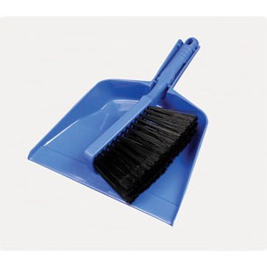 Juego Recogedor Y Cepillo Polvo / Vanyplas